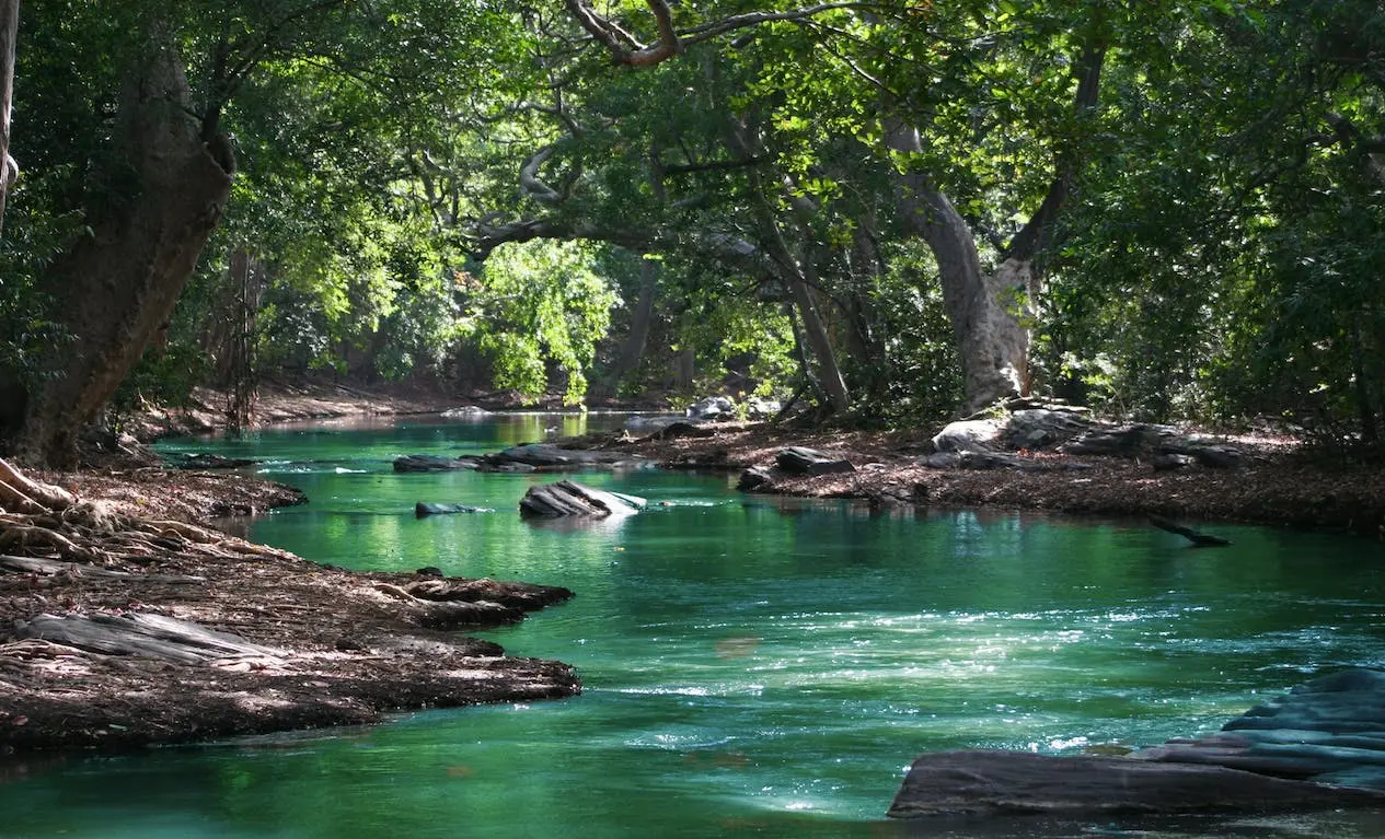 foto de un paisaje